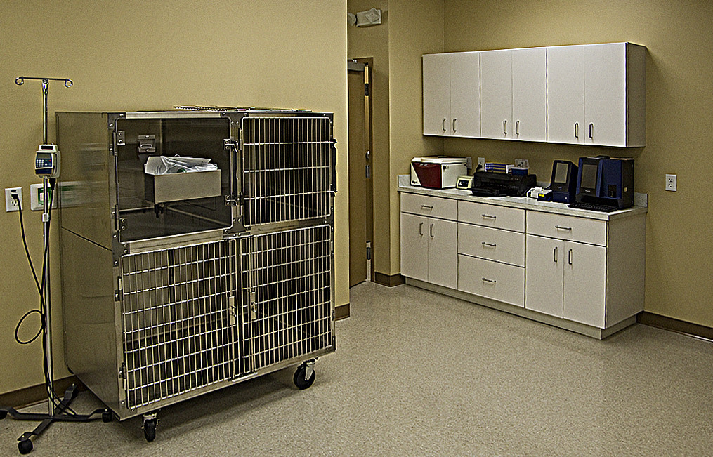Our ICU and in-house laboratory.