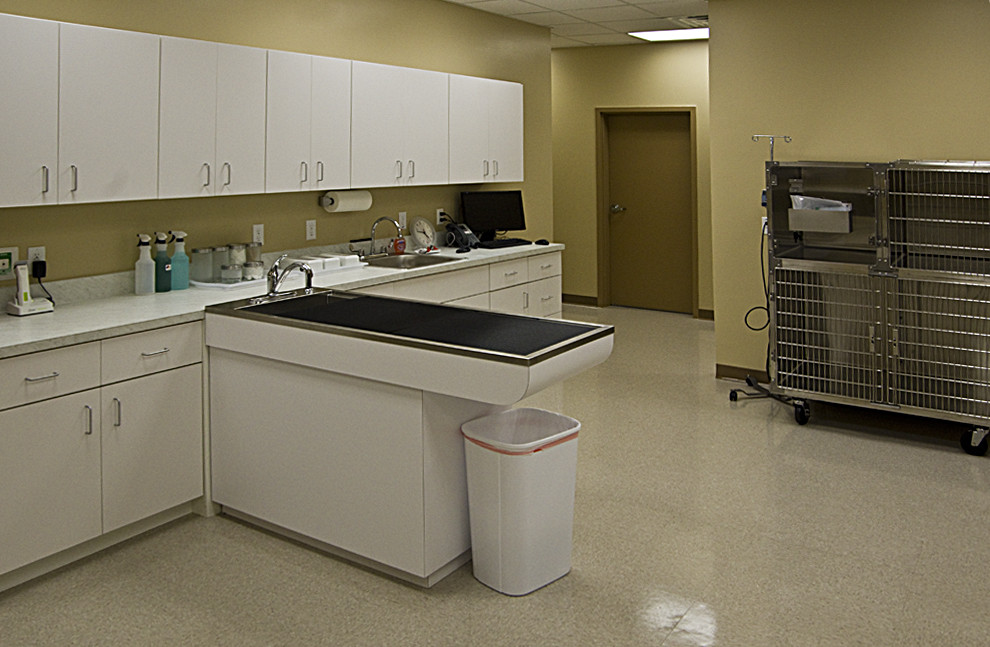 Our treatment area and ICU unit.