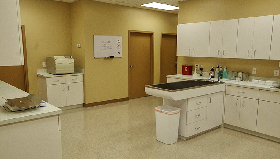 The main treatment room.